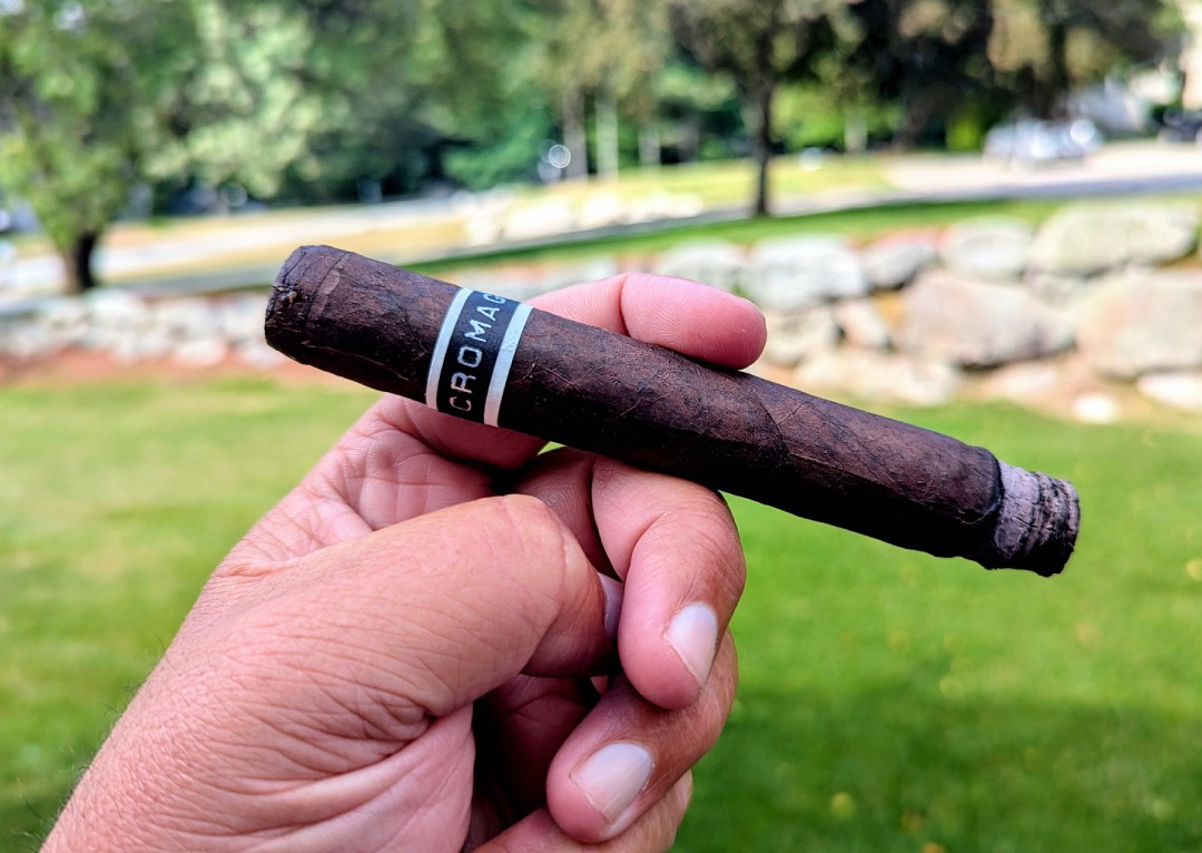 CroMagnon Cranium 2024