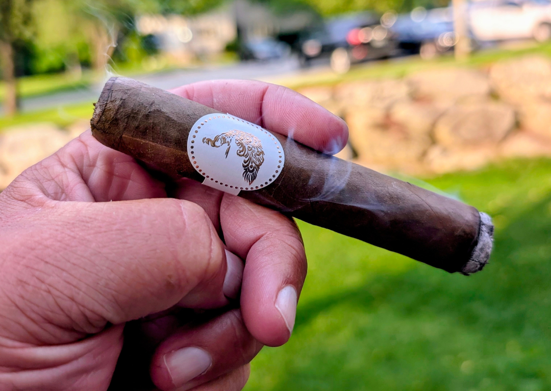 MQBA Mayura Robusto