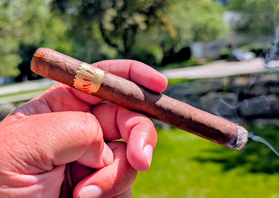Sobremesa Solita Red