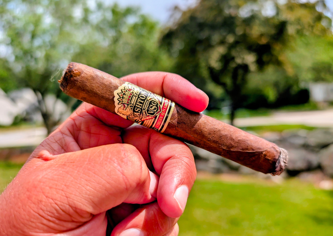 Ashton VSG Robusto