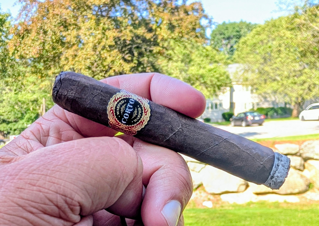 Warped Corto Maduro X46